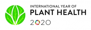 IYPH2020 Logo Horizontal EN