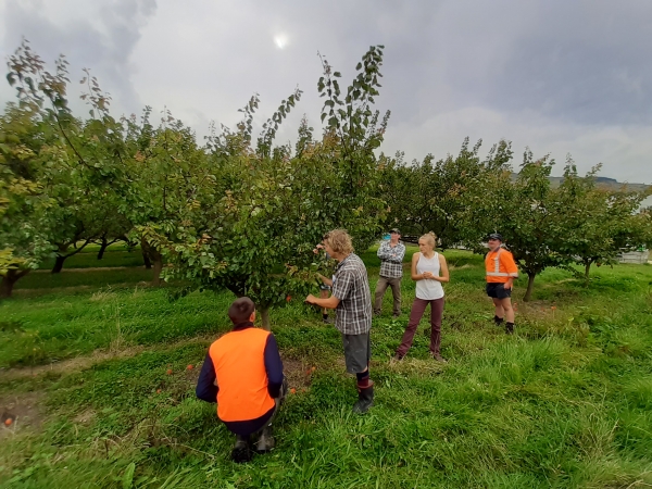 CO Field Walk Fairview Orchard group 3